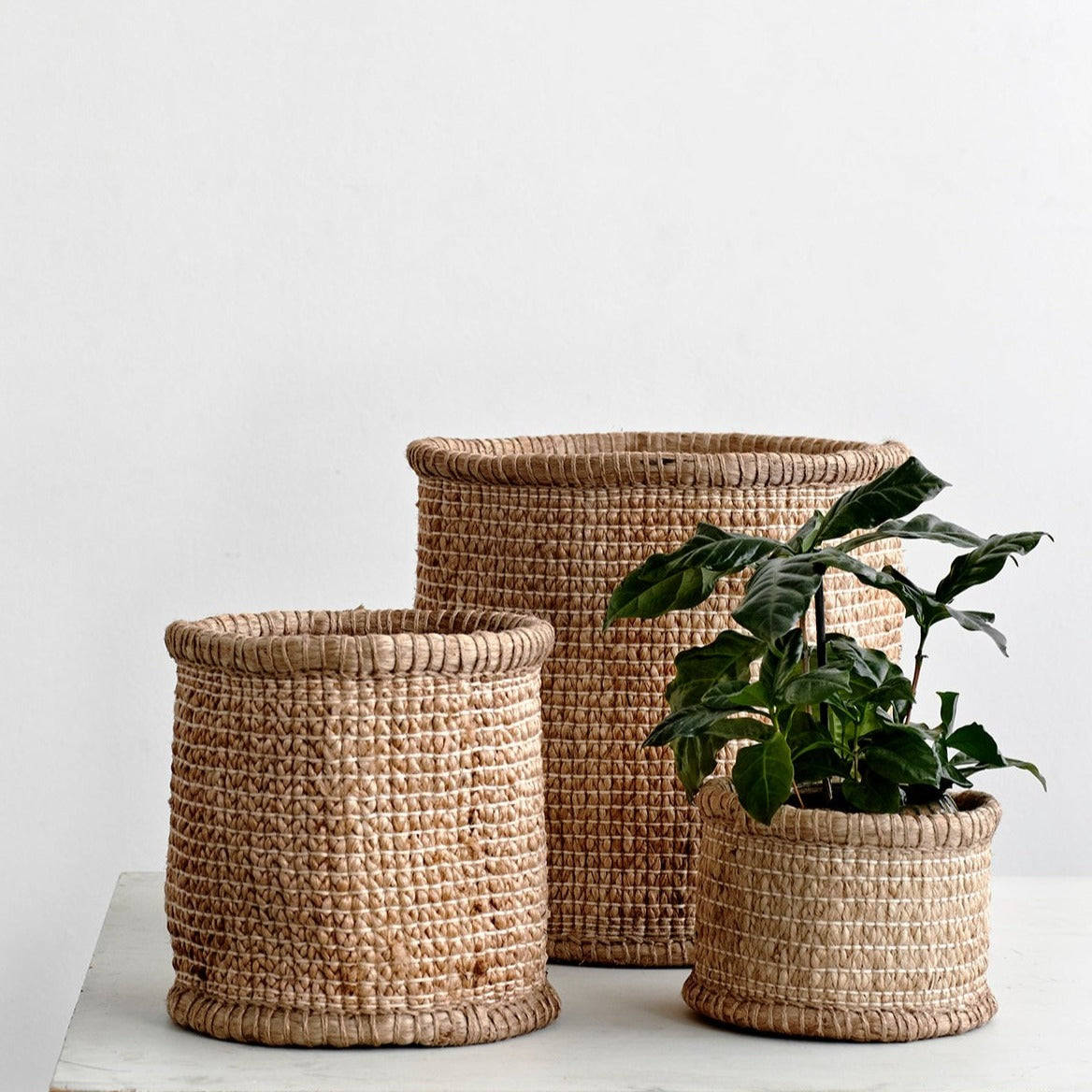 Jute pot shelters (large)