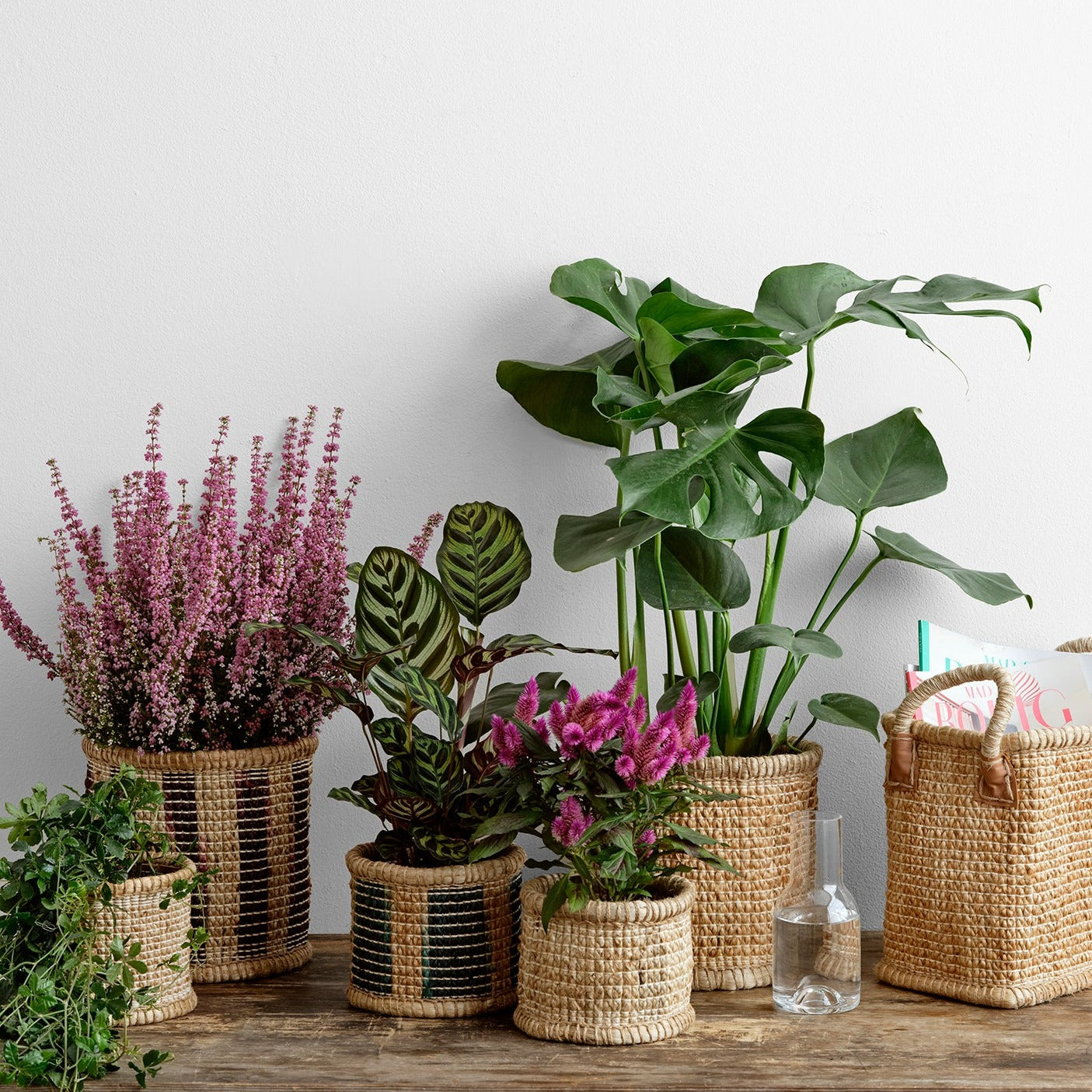 Potting sheds with green stripes (small)