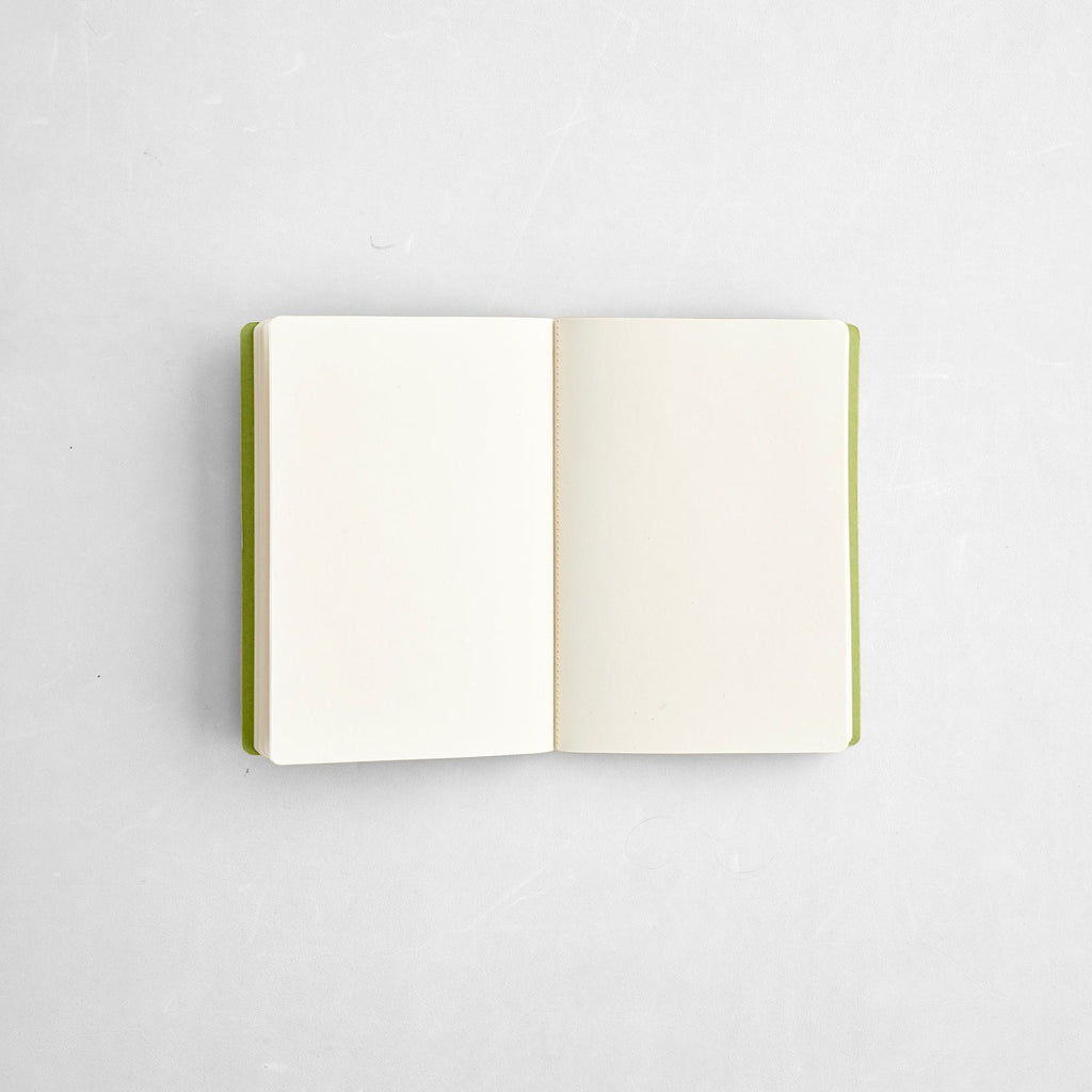Notesbøger 2 stk. (gul/grøn)